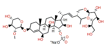 Protolinckioside D